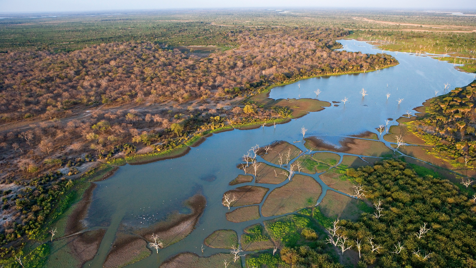 A stroll around the Okavango