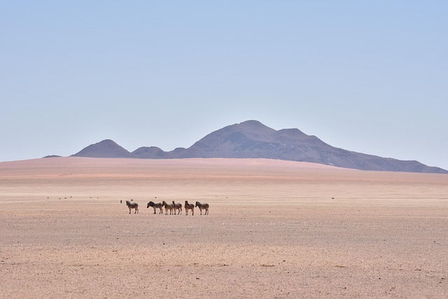 Namibia
